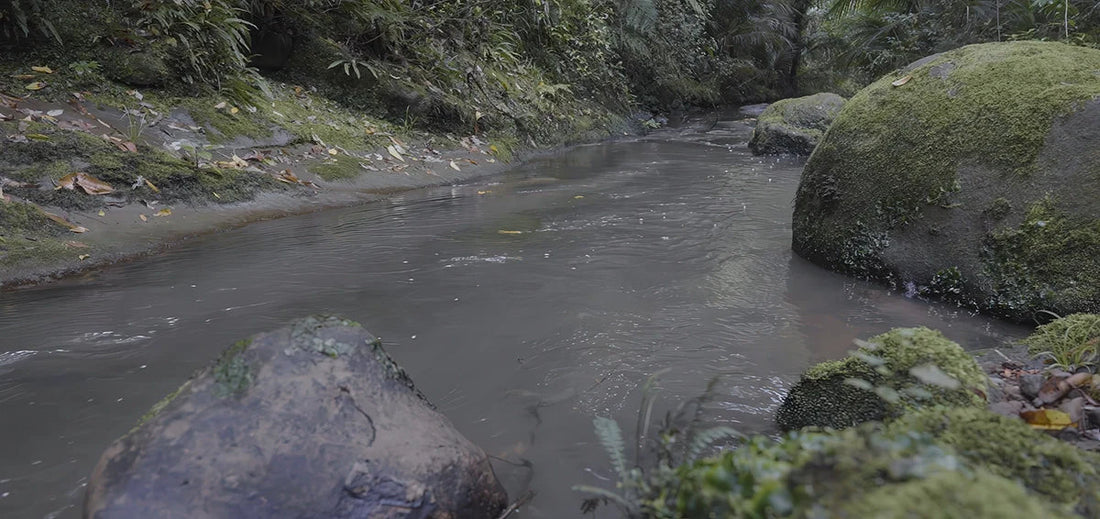 Keeping Auckland’s Remote Water Monitoring Online, Even In Extreme Weather