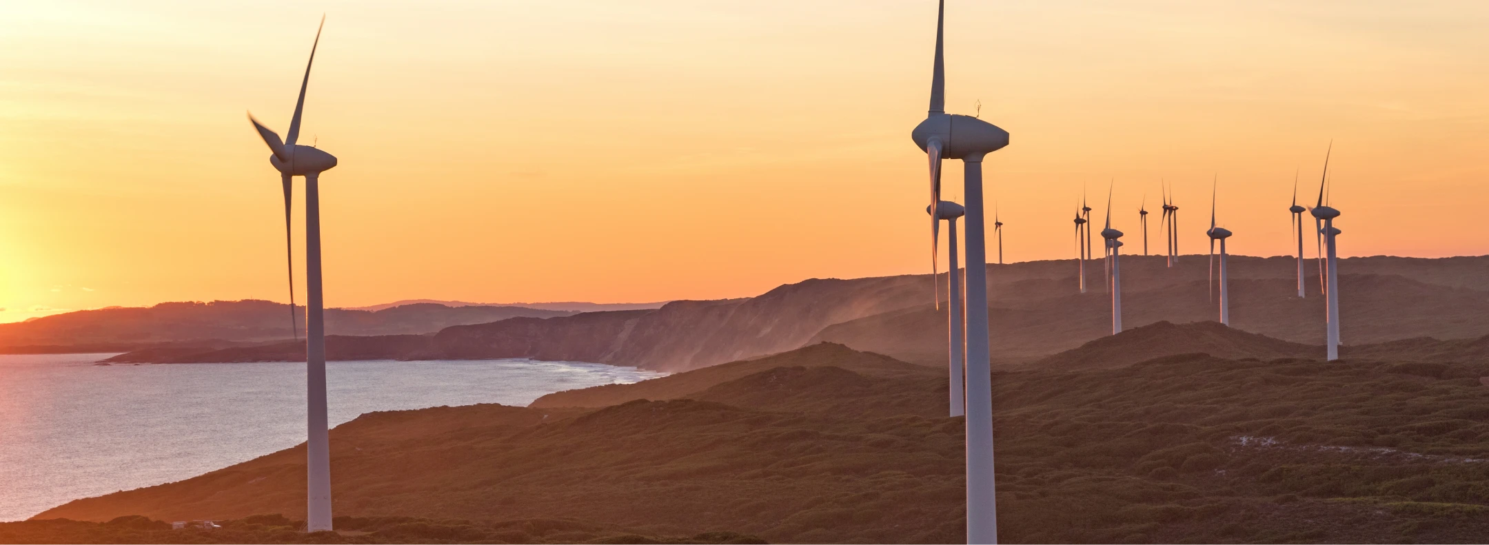 Wind farm near the coast at sunset.