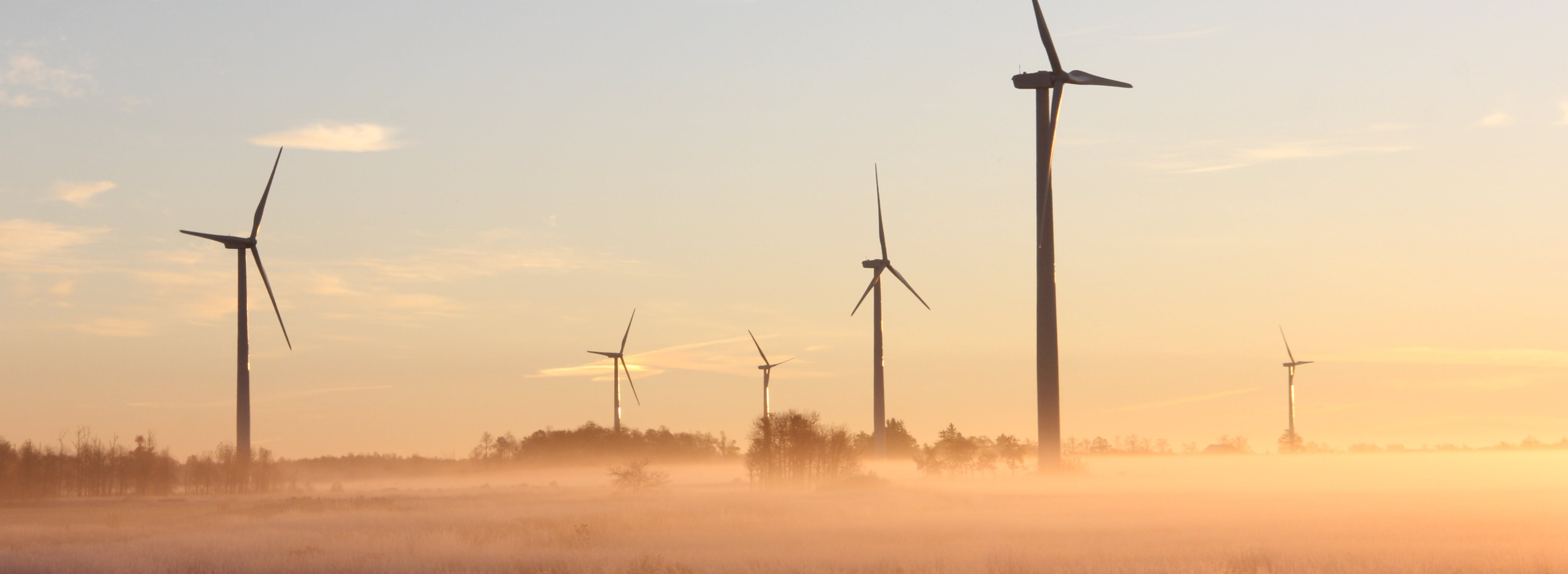 Wind turbines above a misty paddock at dawn.