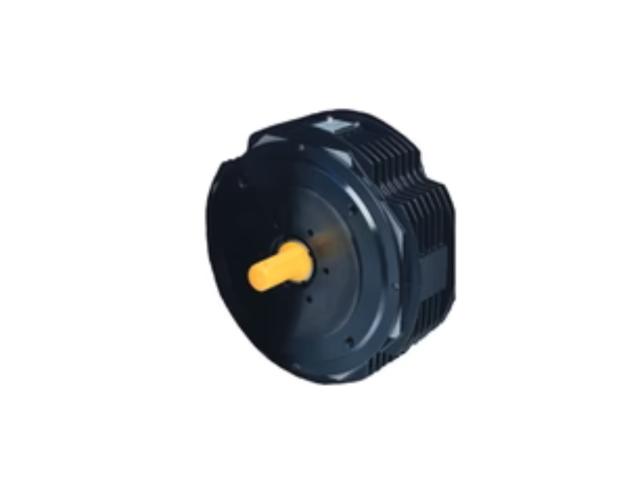 Brushless DC Servo Motors