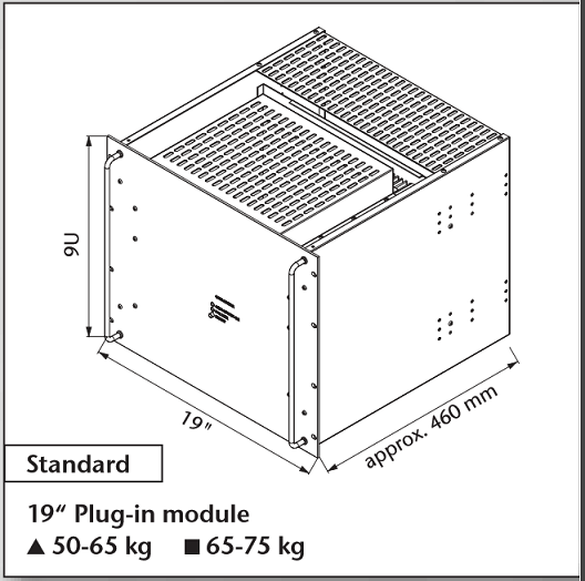 Diagram of a 19-inch plug-in module, showing dimensions and weight.